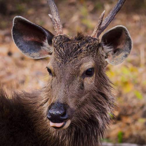 Photo #13526610