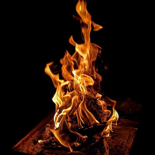 Photo #13526661