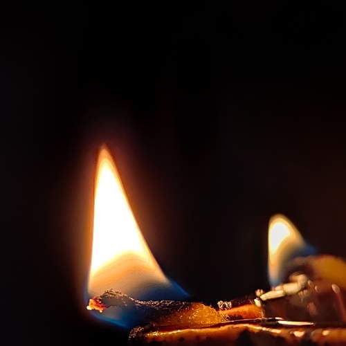 Photo #13526662