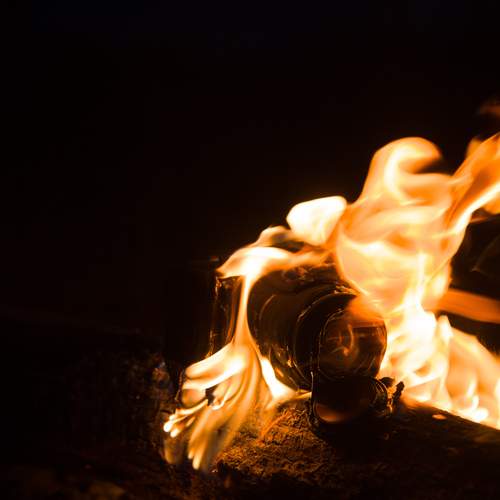 Photo #13526732