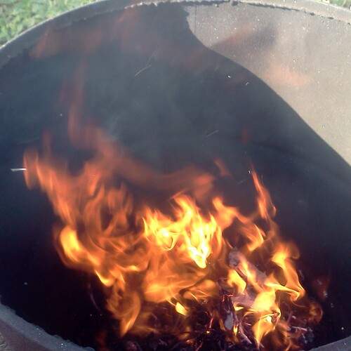 Photo #13526796