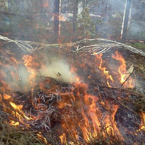 Photo #13526798