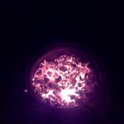 Photo #13526807