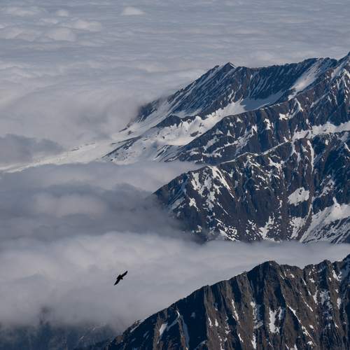 Photo #13526865