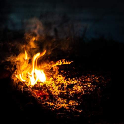 Photo #13526918