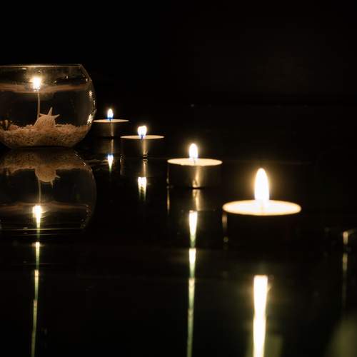Photo #13526923