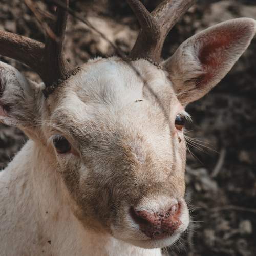 Photo #13526974