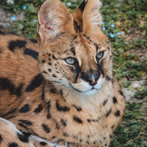 Photo #13526975