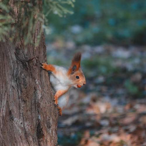 Photo #13526987