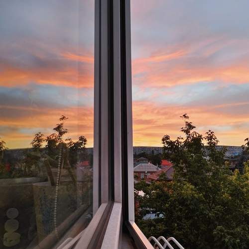 Photo #13527020