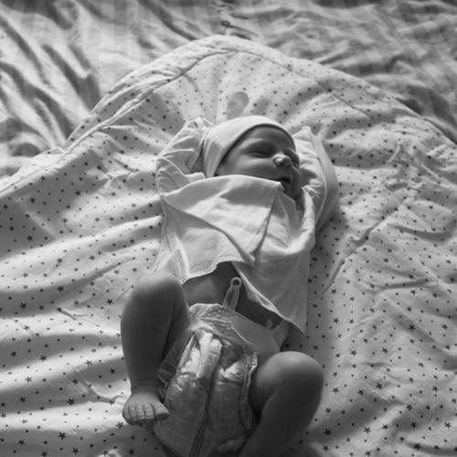 Photo #13527109