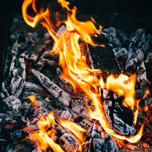 Photo #13527110