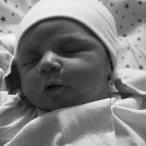 Photo #13527111