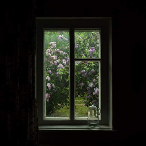Photo #13527128