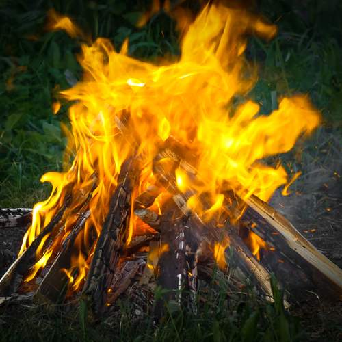 A fire in the garden plot