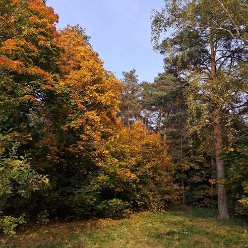 Photo #13527256