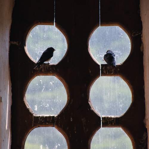 Photo #13527337