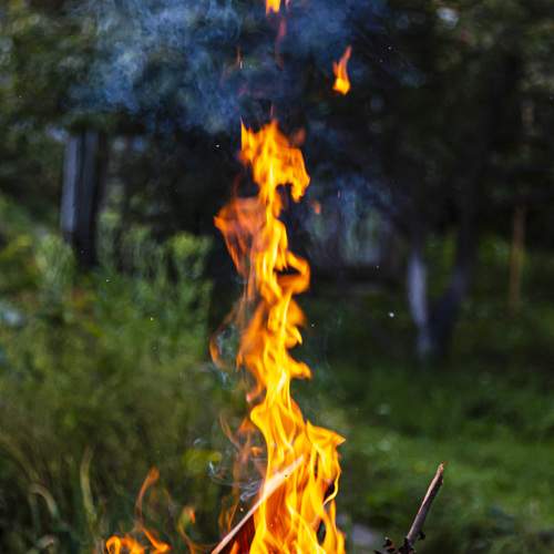 Photo #13527487