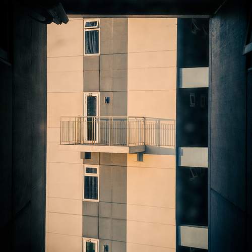 FRAMED BY CHANCE
