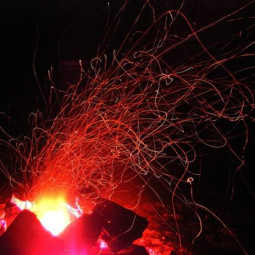 Photo #13527697
