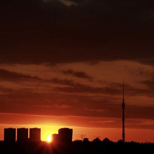 Photo #13527713