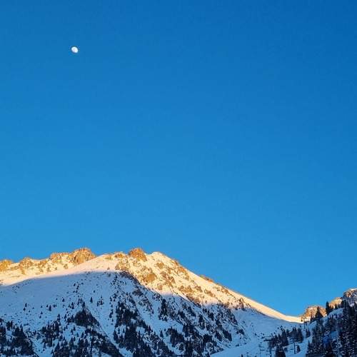 Photo #13528122