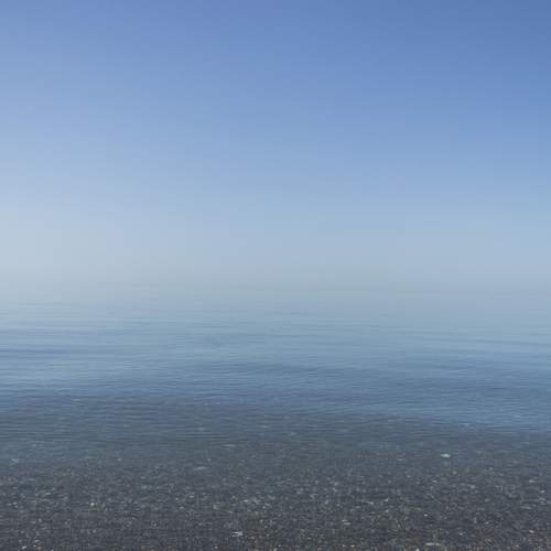 Photo #13528129