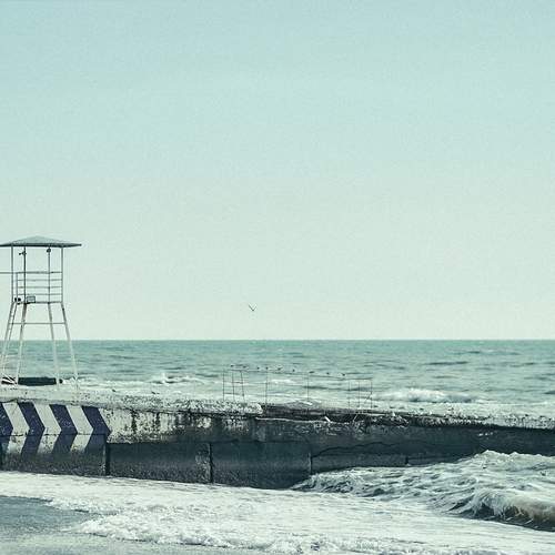 Photo #13528138