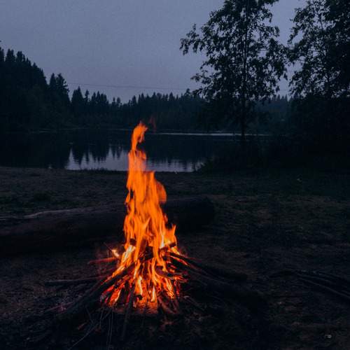 Photo #13528208