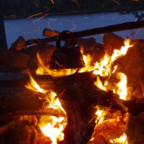 Photo #13528243