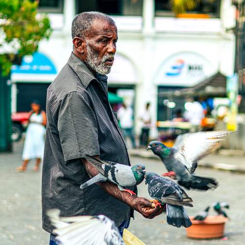 Photo #13528365