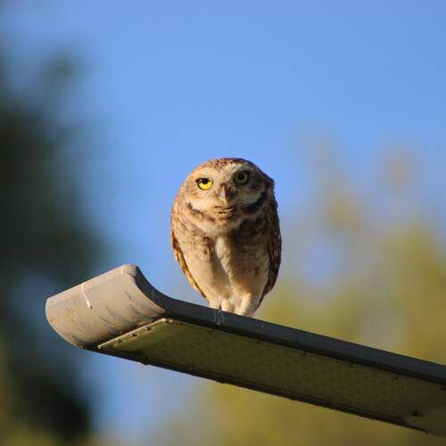 Photo #13528426