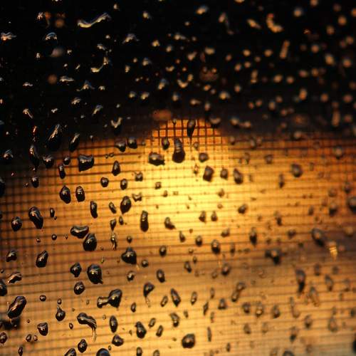 Photo #13528449
