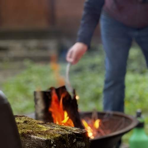 Photo #13528502