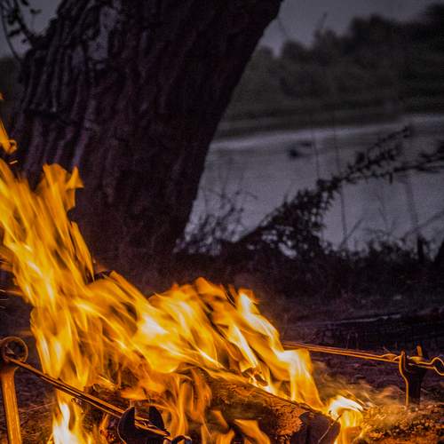 Photo #13528578
