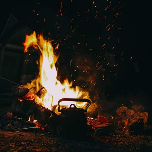 Photo #13528637
