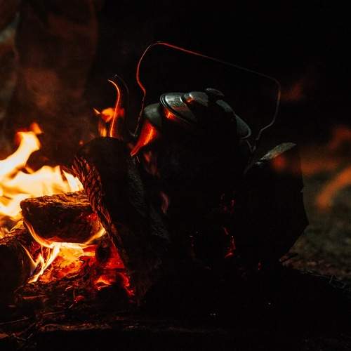 Photo #13528638
