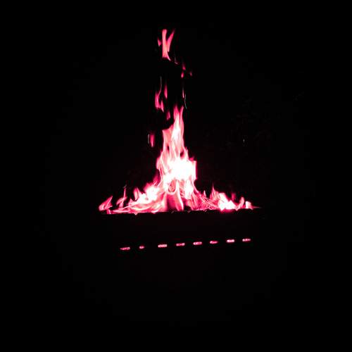 Photo #13528756