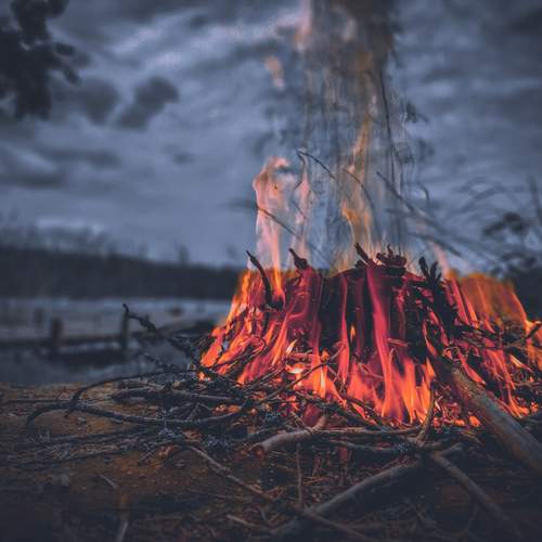 Photo #13528757