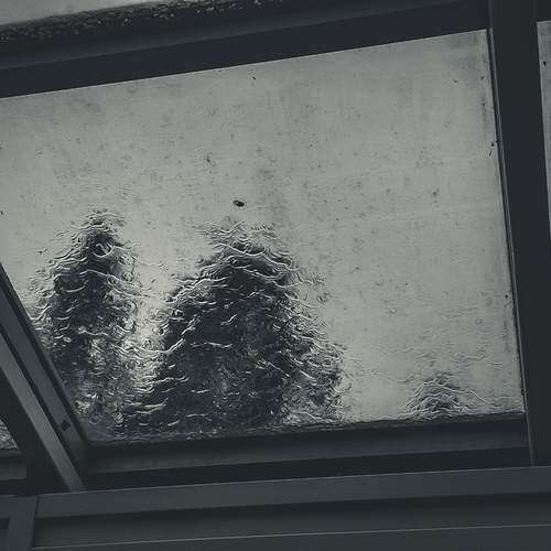Photo #13528766