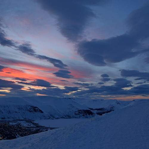 Photo #13528797