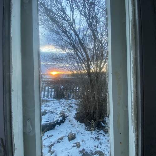 Photo #13528909