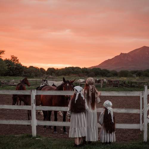 Photo #13528930