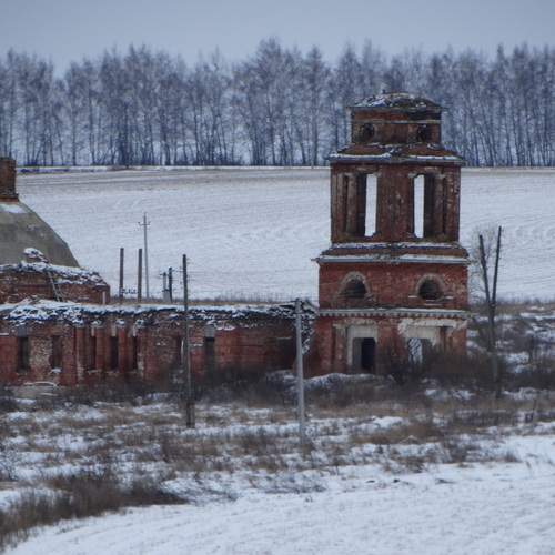Photo #13528945