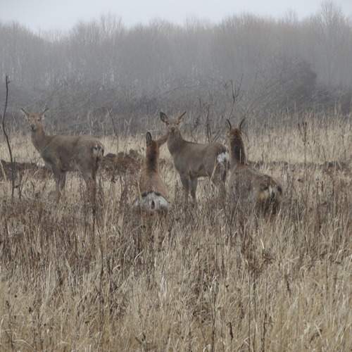Photo #13528973