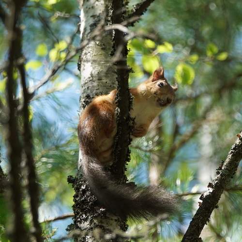 Photo #13529074