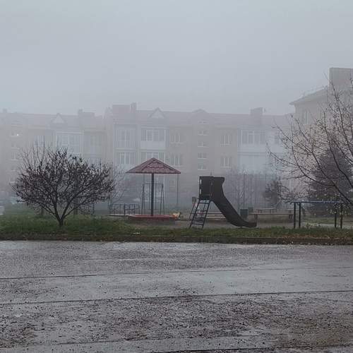 Photo #13529147