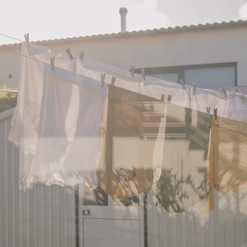 Photo #13529169