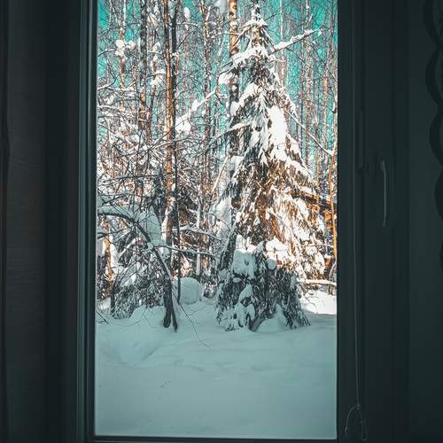 Photo #13529302