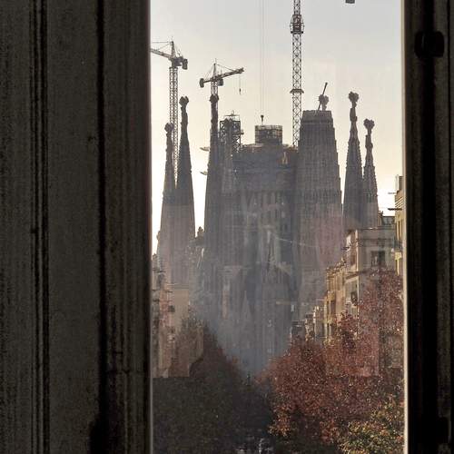 Photo #13529356